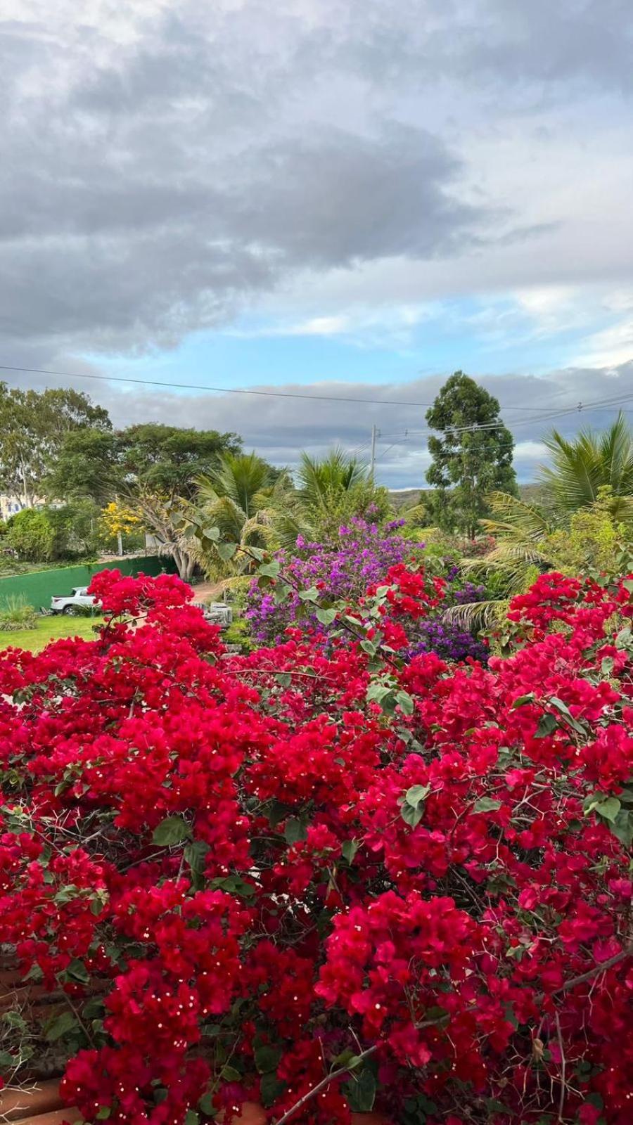 Pousada Primavera Hotel Mucugê Buitenkant foto