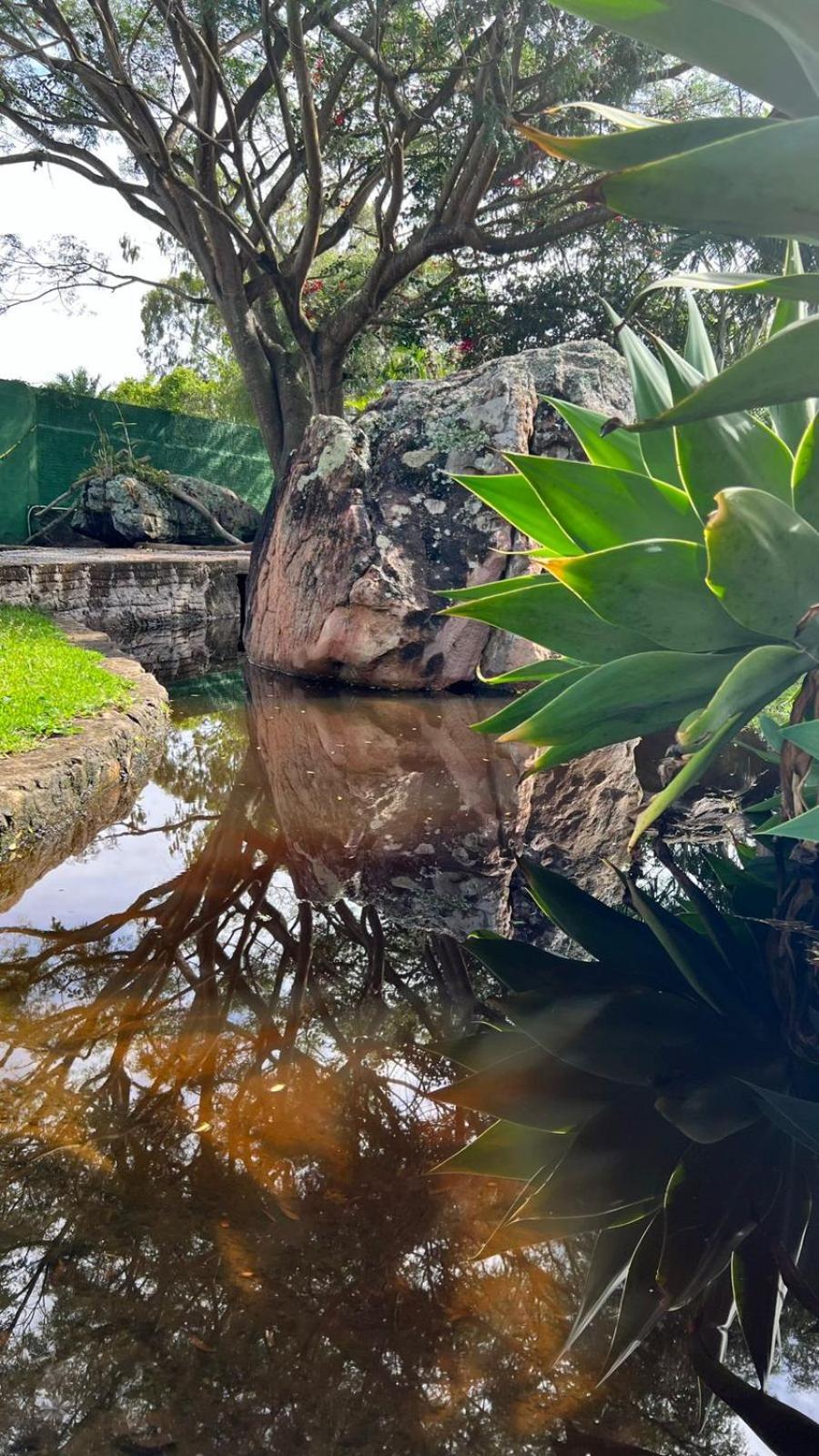 Pousada Primavera Hotel Mucugê Buitenkant foto